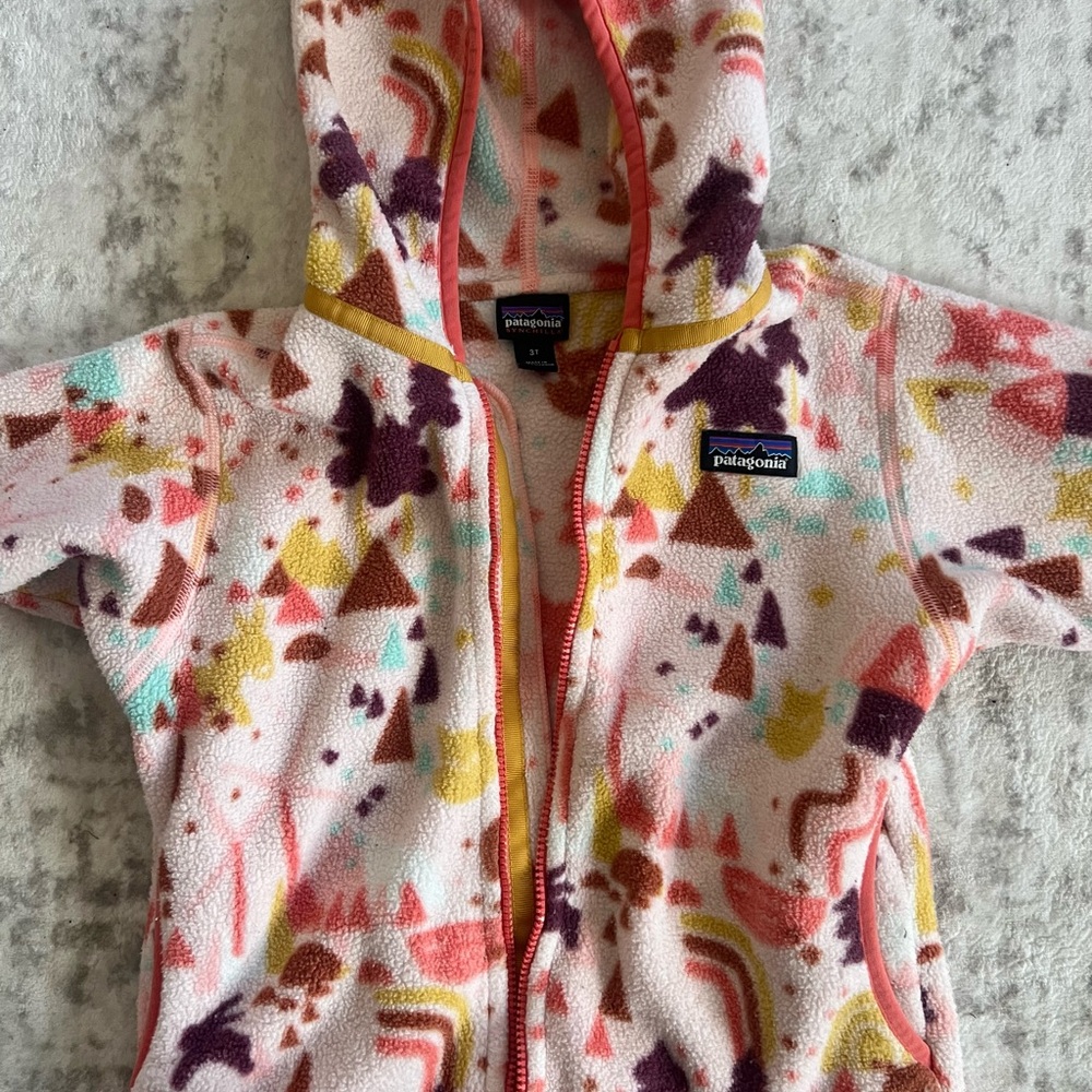 Patagonia Synchilla Fleece Jacket - Multicolor - Picture 2 of 3